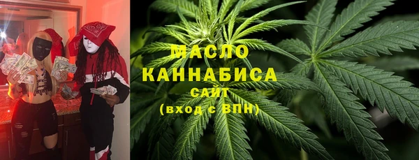 молекула духа Богородицк
