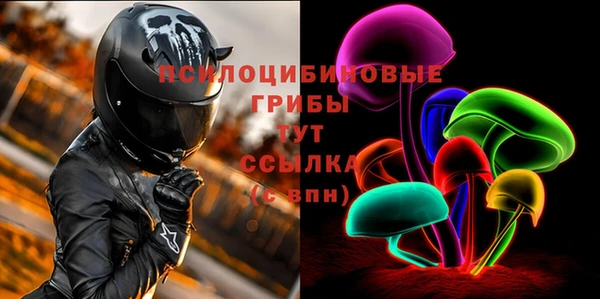 герыч Бородино